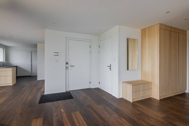 Exklusive 3.5-Zimmer-Neubau-Attikawohnung im Erstbezug - Wohnen wie in den Ferien (4)