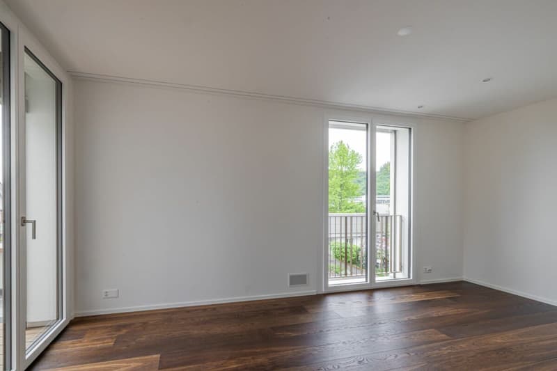 Exklusive 3.5-Zimmer-Neubau-Attikawohnung im Erstbezug - Wohnen wie in den Ferien (7)