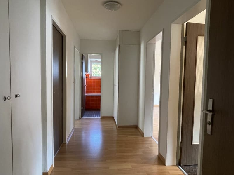 Sonnige 3.5 Zi-Wohnung mit Balkon und Garage (1)