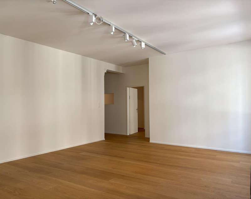 Einzigartiges Loft-Büro / Praxis im Herzen von Basel (3)