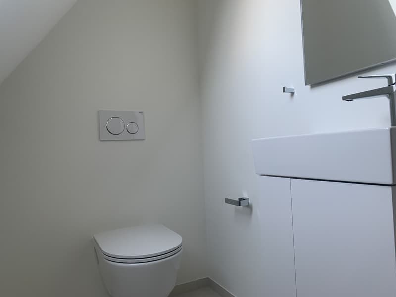 Exklusive Maisonette-Dachwohnung im Paulusquartier mit Gartensitzplatz (3)