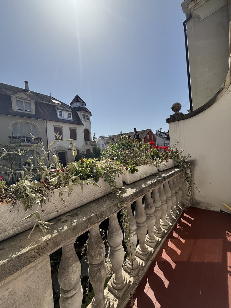 Traumhaftes Jugendstil-Einfamilienhaus im begehrten Paulusquartier (8)