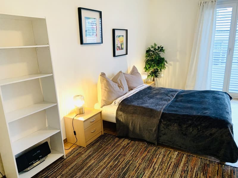 Furnished unit in city centre. All bedrooms facing the quiet back yard (5)