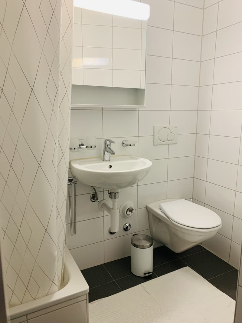 Furnished unit in city centre. All bedrooms facing the quiet back yard (4)