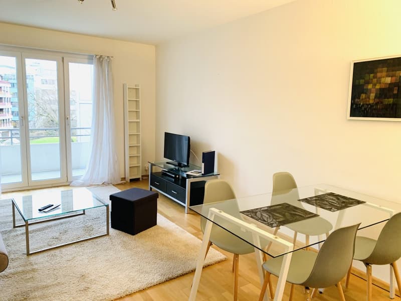 Furnished unit in city centre. All bedrooms facing the quiet back yard (2)