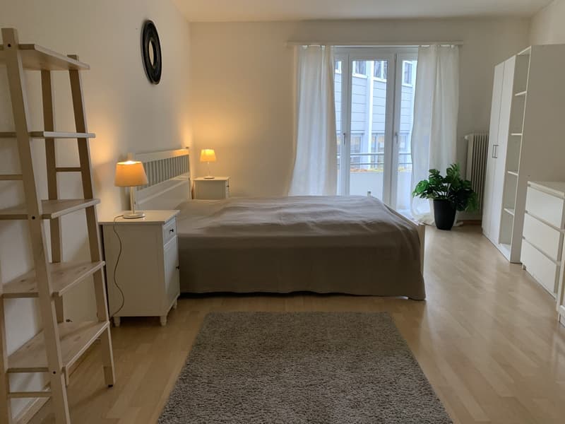 City Centre: modern furnished apartment with lift and large balcony (5)
