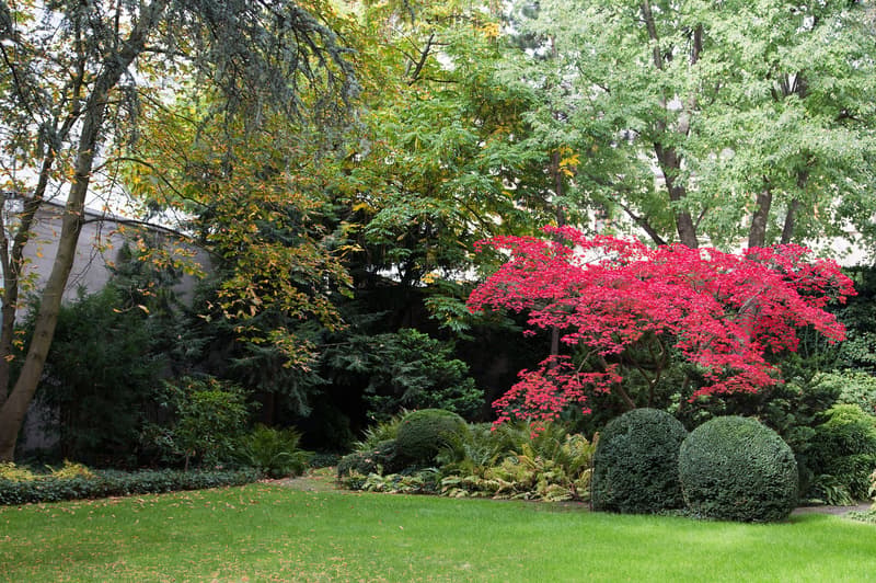 Garden view from living room