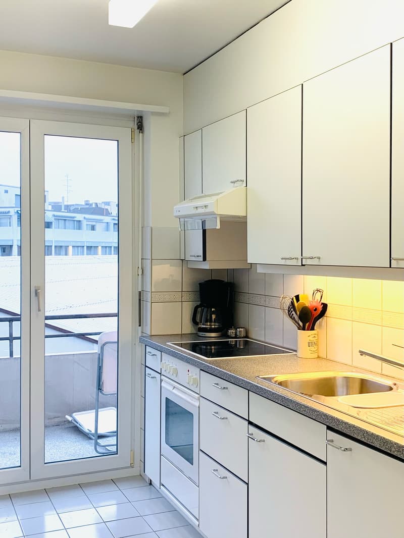 Furnished Apartment in Basel City Center (4)