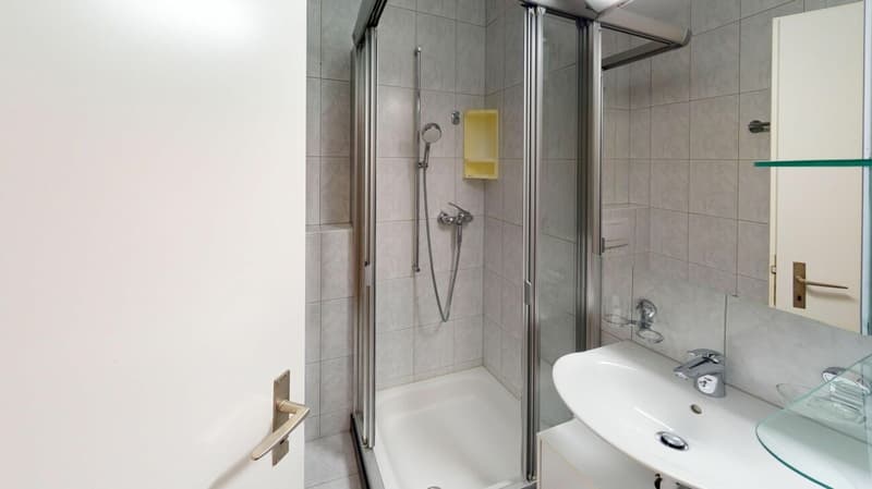 Stilvolle 4.5 Zimmer-Wohnung - sofort einzugsbereit (15)