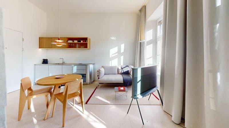 Living Directly on the Rhine in the St. Alban-Tal (2)