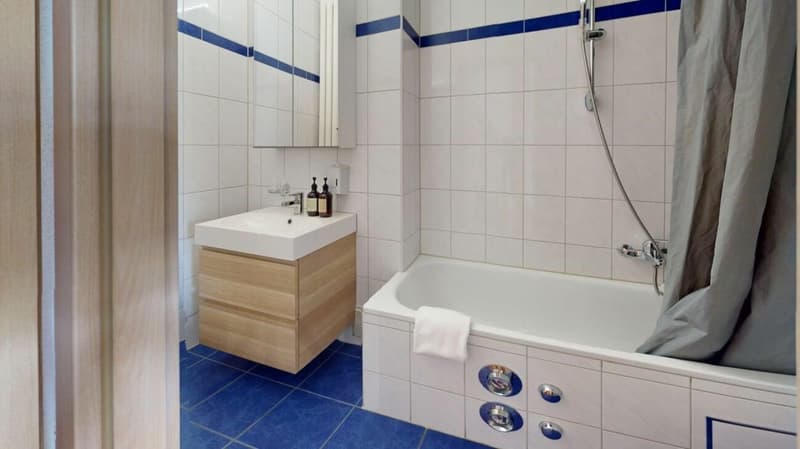 Unique Serviced Living @ Basel SBB / Gundeldingen (8)