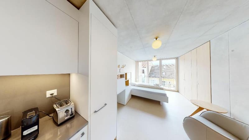 Unique Serviced Living @ Spalenring (2)