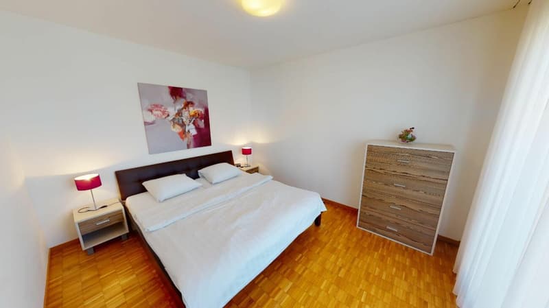 Unique Serviced Living @ Messe Basel Penthouse (7)