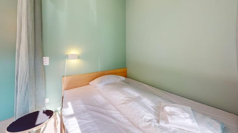 Wohnen direkt am Rhein (St. Alban-Tal) (5)