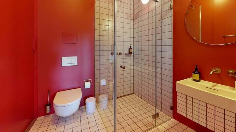 Wohnen direkt am Rhein (St. Alban-Tal) (4)