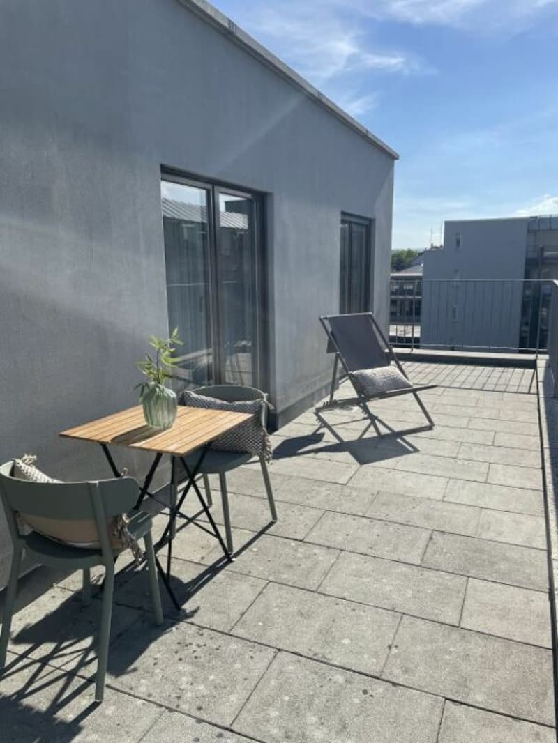 Unique Serviced Living @ Messe Basel Penthouse (11)
