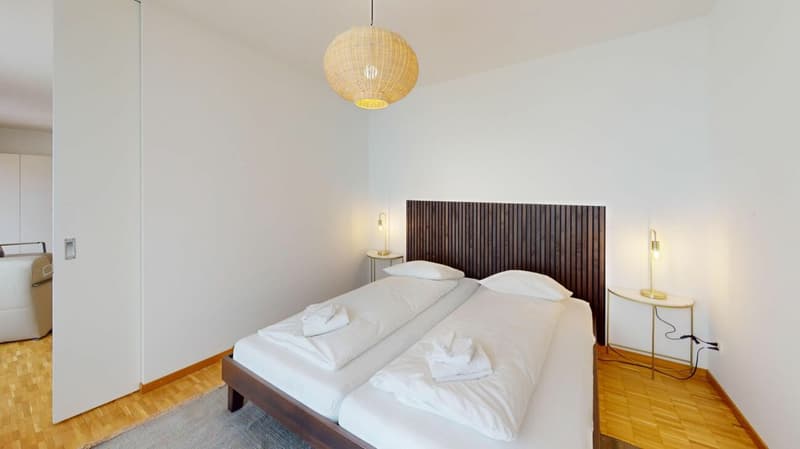 Unique Serviced Living @ Messe Basel Penthouse (8)