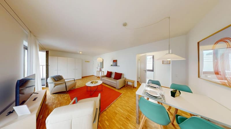 Unique Serviced Living @ Messe Basel Penthouse (1)