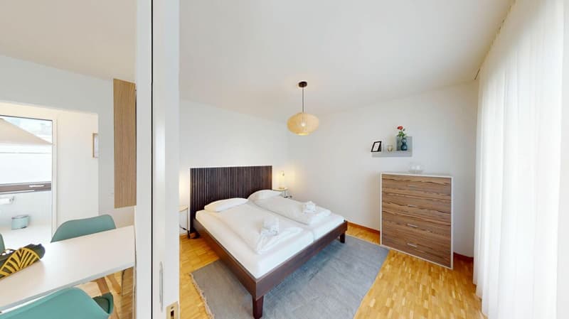 Unique Serviced Living @ Messe Basel Penthouse (7)
