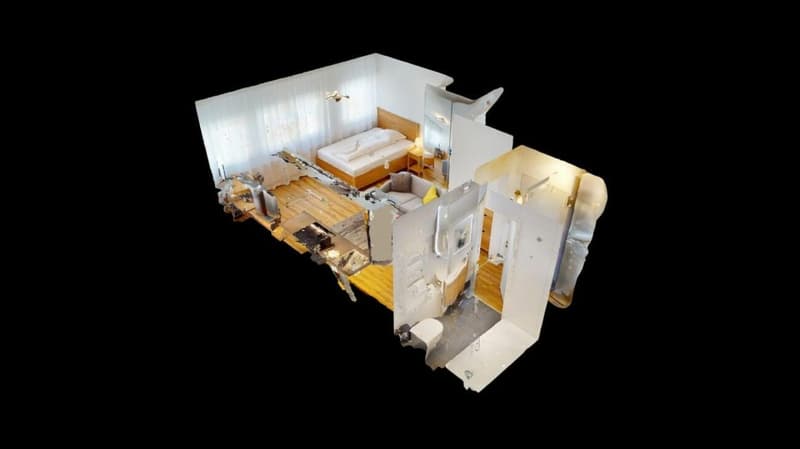 Unique Serviced Living @ Basel SBB / Gundeldingen (6)