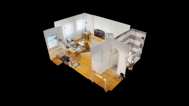 Unique Serviced Living @ Basel SBB / Gundeldingen (5)