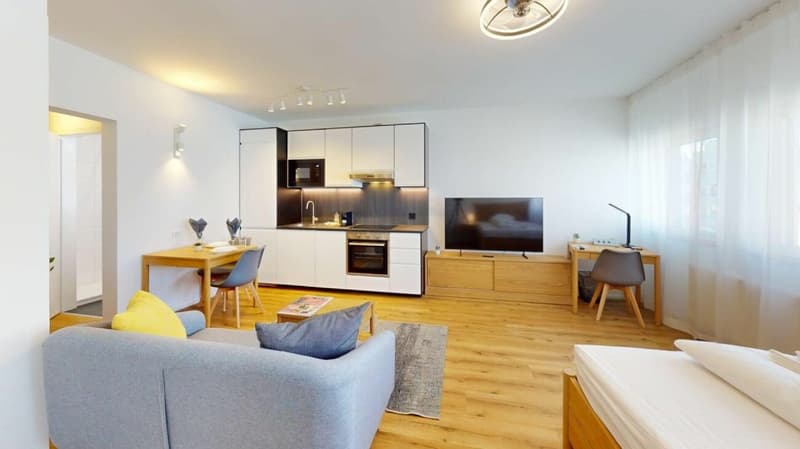 Unique Serviced Living @ Basel SBB / Gundeldingen (1)