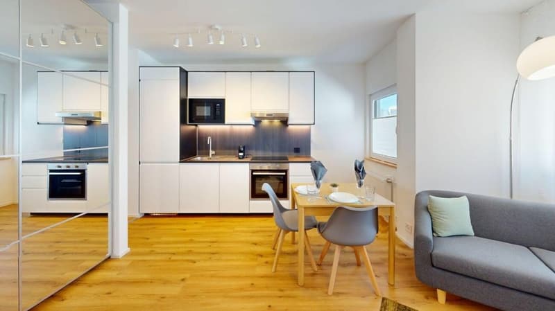 Unique Serviced Living @ Basel SBB / Gundeldingen (1)