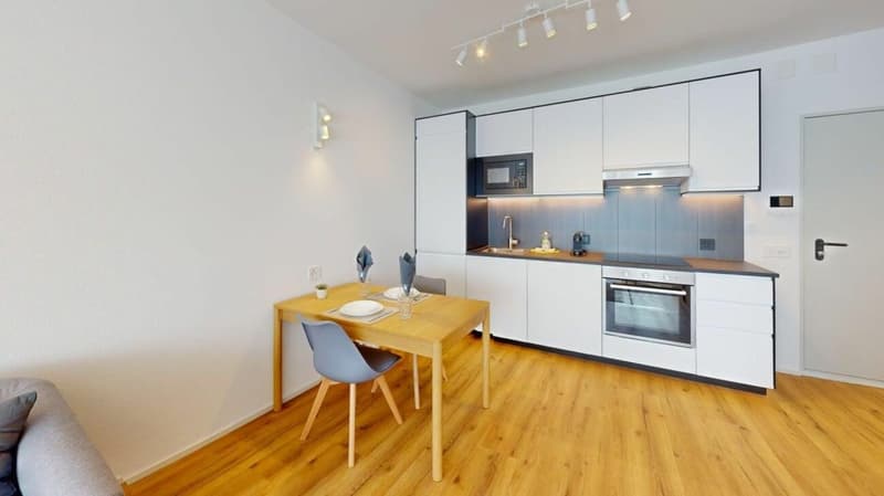 Unique Serviced Living @ Basel SBB / Gundeldingen (3)