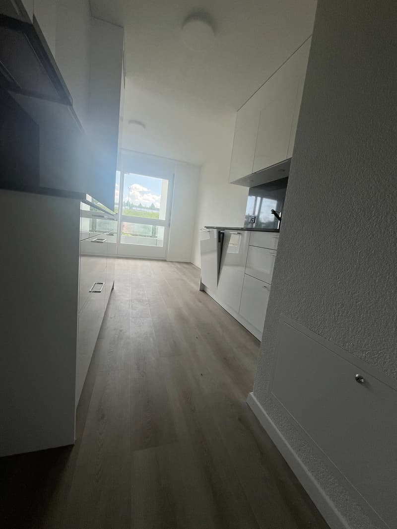 Was will man mehr? Neu renovierte 4.5 Zimmer-Wohnung! (2)