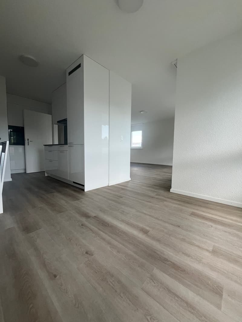 Was will man mehr? Neu renovierte 4.5 Zimmer-Wohnung! (1)