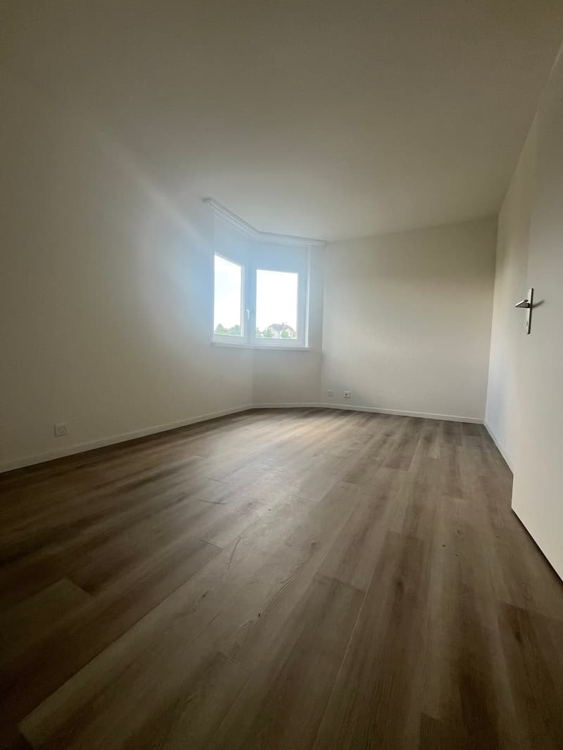 Was will man mehr? Neu renovierte 4.5 Zimmer-Wohnung! (9)