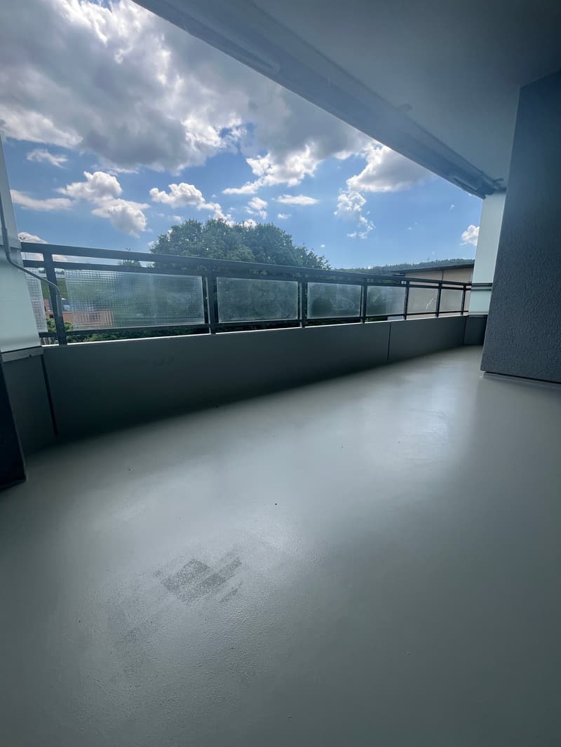Was will man mehr? Neu renovierte 4.5 Zimmer-Wohnung! (10)