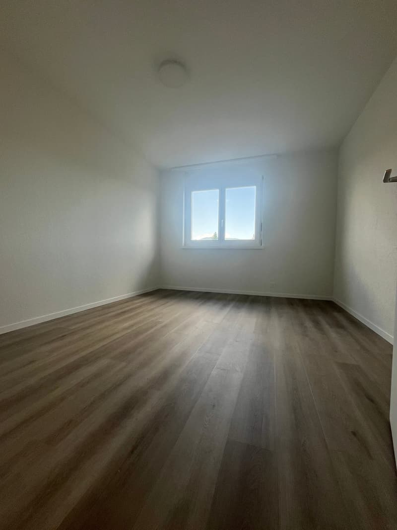 Was will man mehr? Neu renovierte 4.5 Zimmer-Wohnung! (8)