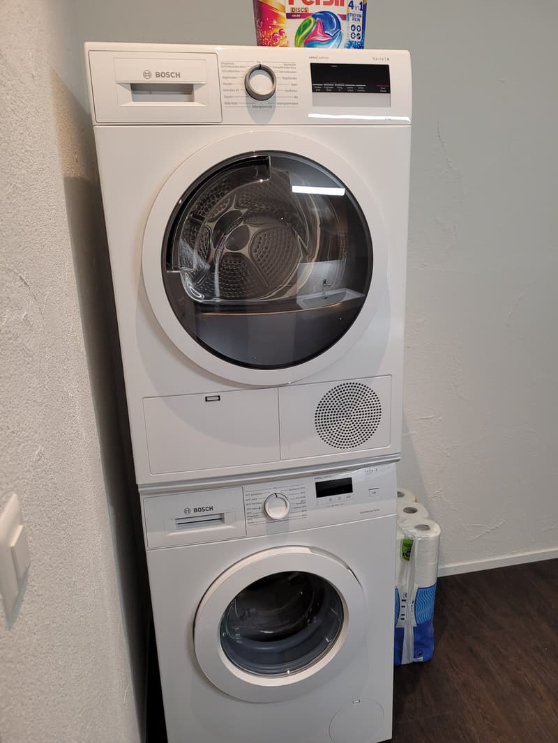 Lichtdurchflutete 3.5 Zimmerwohnung mit charmanten Sichtbalken (8)