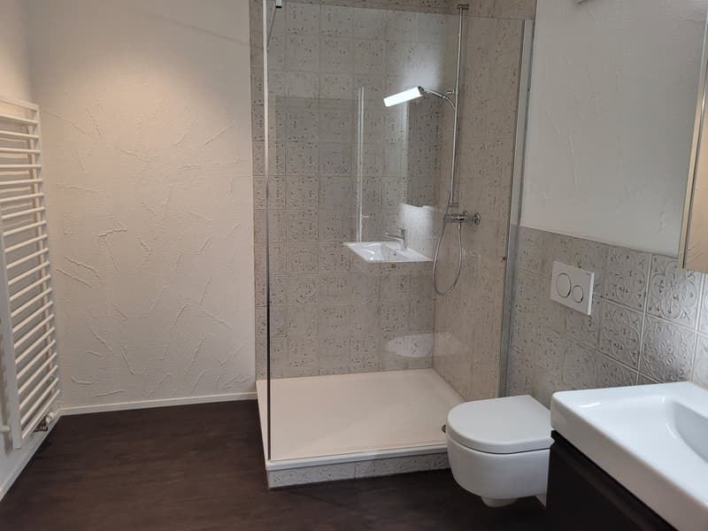 Lichtdurchflutete 3.5 Zimmerwohnung mit charmanten Sichtbalken (5)