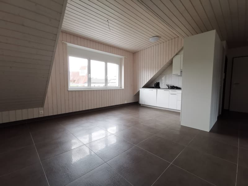 Moderne 3-Zimmer-Dachwohnung an der Aarauerstrasse in Olten (8)