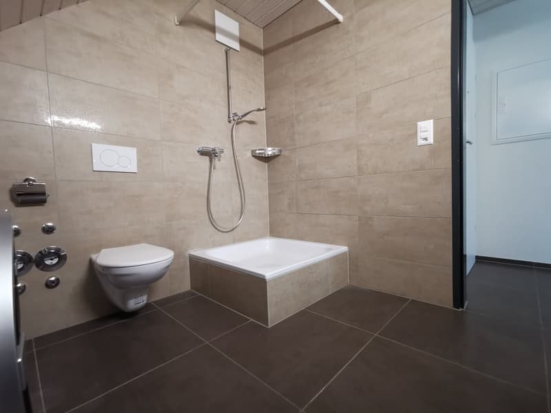 Moderne 3-Zimmer-Dachwohnung an der Aarauerstrasse in Olten (6)