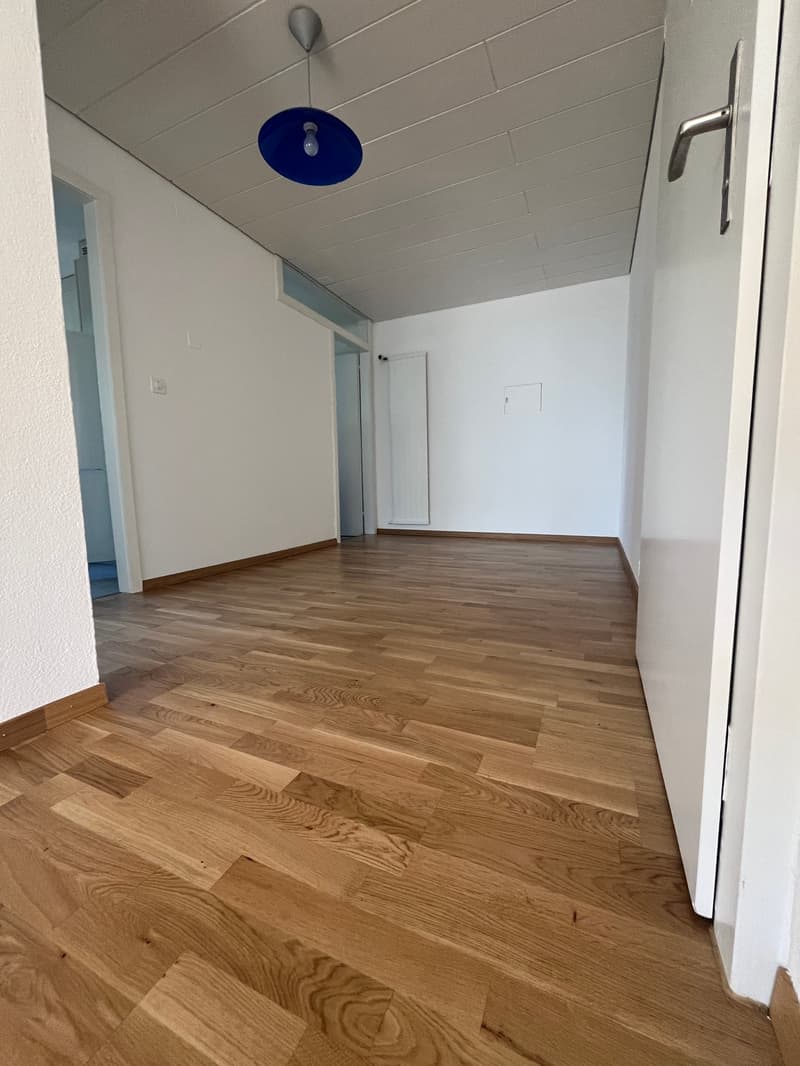 Grosszügige 2.5-Zimmer-Wohnung in Unterentfelden! (5)