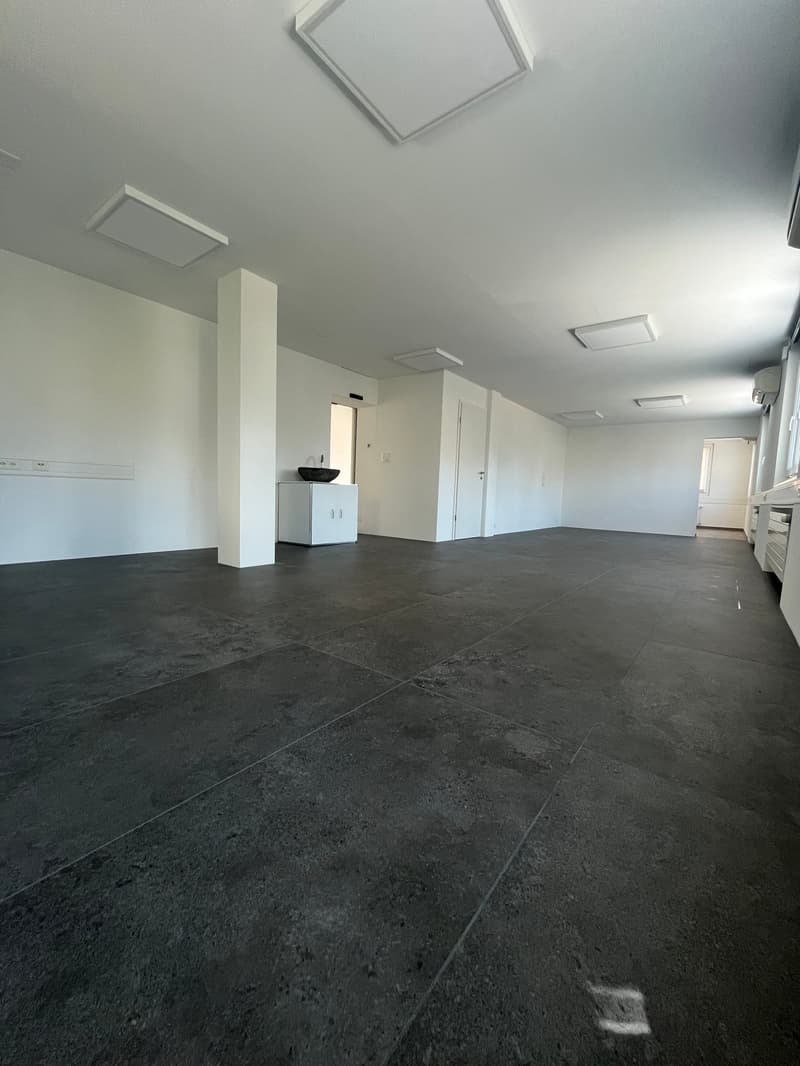 Moderne Gewerbe- / Büroflächen zu vermieten (5)