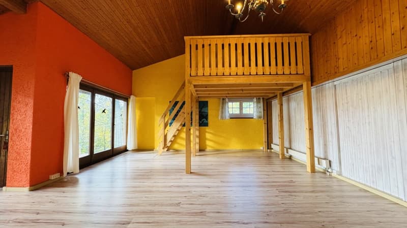 Maison individuelle 5.5 pièces pour 1-2 familles - garage, grand jardin, vue panoramique (12)