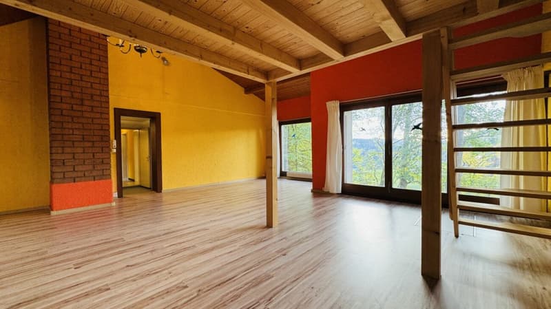 Maison individuelle 5.5 pièces pour 1-2 familles - garage, grand jardin, vue panoramique (13)