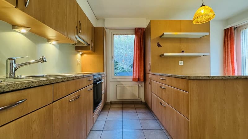 Maison individuelle 5.5 pièces pour 1-2 familles - garage, grand jardin, vue panoramique (6)