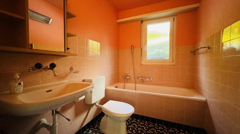 Maison individuelle 5.5 pièces pour 1-2 familles - garage, grand jardin, vue panoramique (4)
