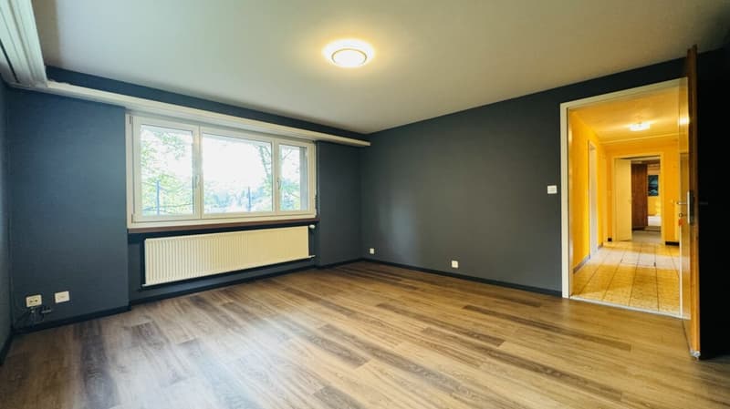 Maison individuelle 5.5 pièces pour 1-2 familles - garage, grand jardin, vue panoramique (10)