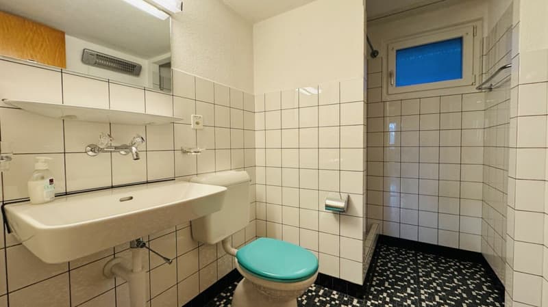 Maison individuelle 5.5 pièces pour 1-2 familles - garage, grand jardin, vue panoramique (11)