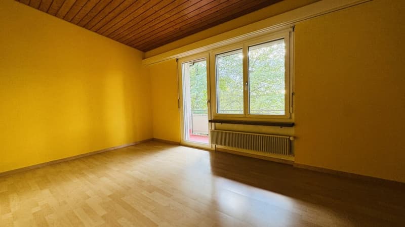 Maison individuelle 5.5 pièces pour 1-2 familles - garage, grand jardin, vue panoramique (9)