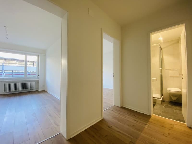 Zweitbezug 2.5-Zimmer mit Balkon und Keller (1001) (2)