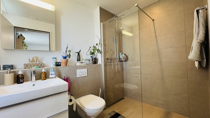 Neuwertige 4.5-Zimmer-EG Wohnung, 2 Nasszellen, Loggia, Gartenanteil, Lift, Keller und 1 AEHP (9)