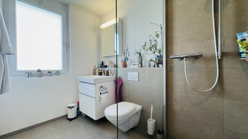 Neuwertige 4.5-Zimmer-EG Wohnung, 2 Nasszellen, Loggia, Gartenanteil, Lift, Keller und 1 AEHP (11)