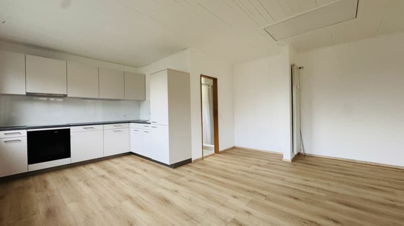 Gepflegte 2.5-Zimmer-Maisonette mit Garten & eigener WM/TU im 2-Familienhaus - per sofort (4)